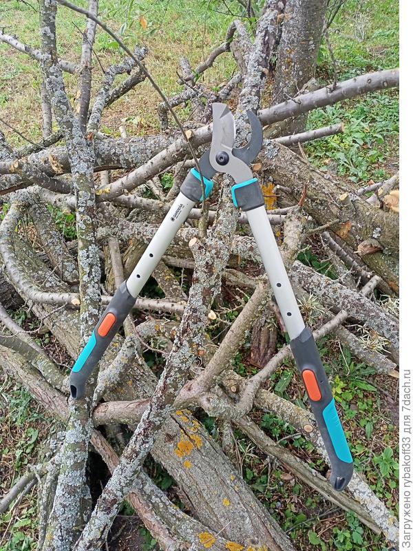 После обрезки мелких веток кучка все еще большая