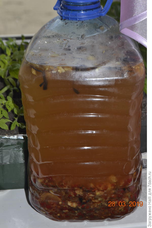 Вот моя настойка острого красного перца,можно добавить немного чеснока..