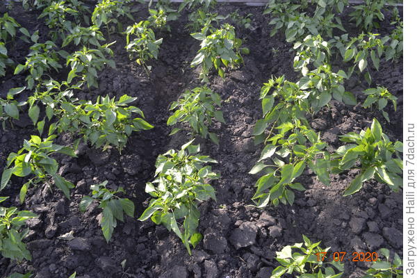 Тоже самое.