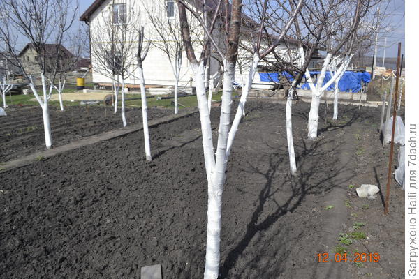 Вот дом белого цвета,здесь живет моя доченька с семьёй.