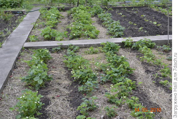 Примерно вот так как на моём фото.