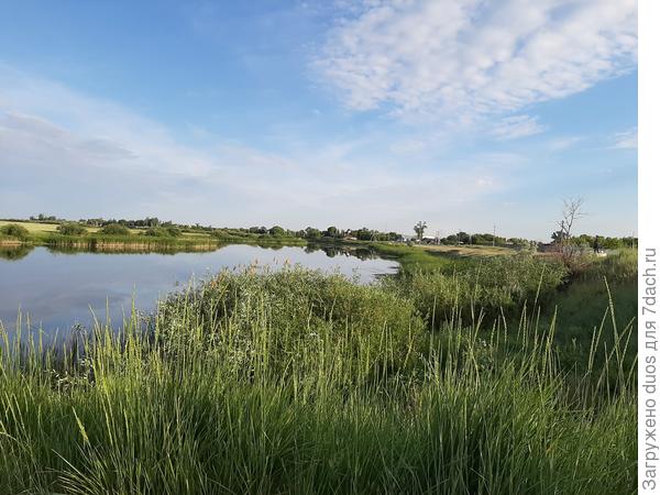 Раннее утро