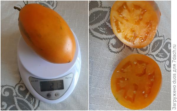 Золотой Кенигсберг