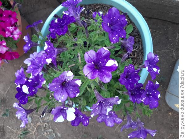 Маляры постарались :)