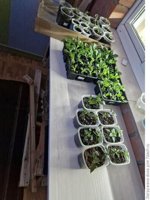 Тестируем грузоподъемность