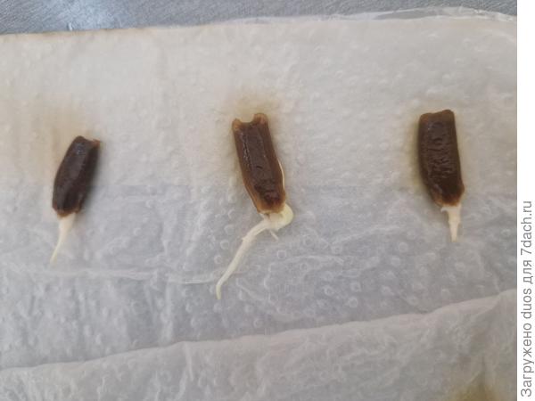 Так сегодня выглядят