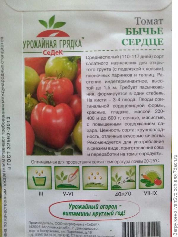 сад
