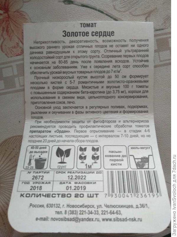 сад