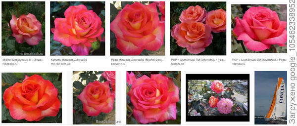 Мишель Дежуайо