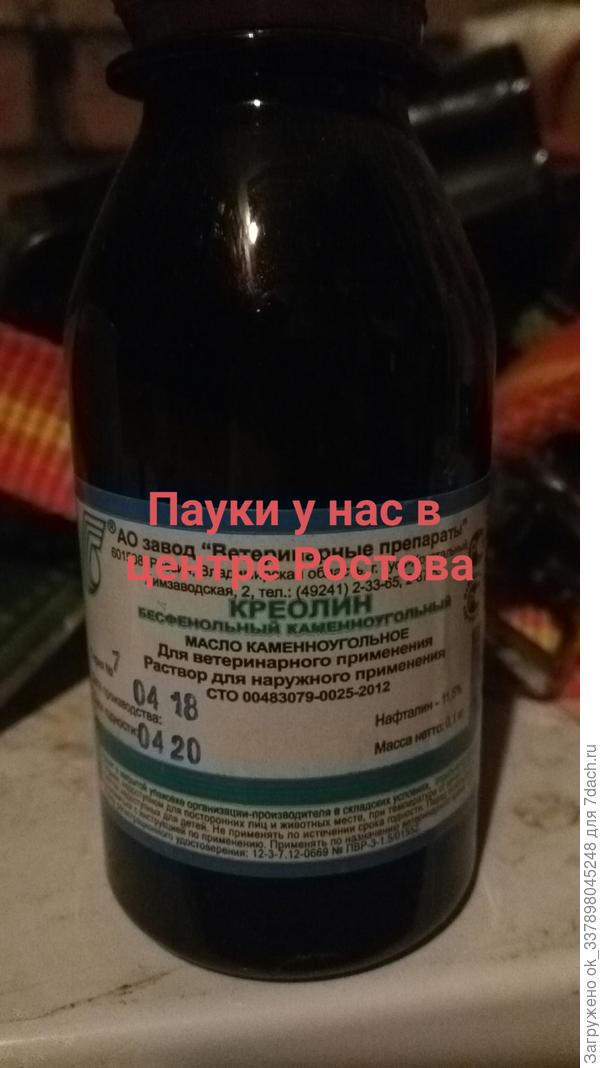 Каракурты есть прямо в городе, сама не верила пока не нашла парочку