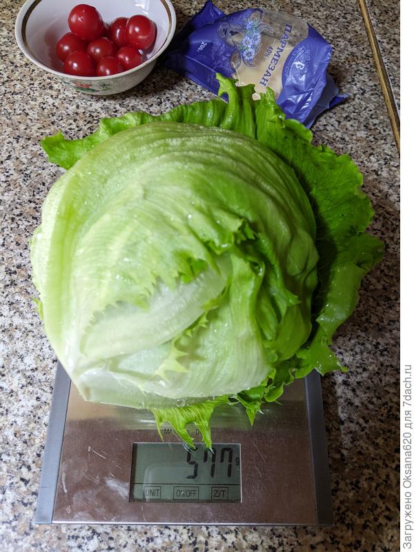 Сейчас мы его съедим