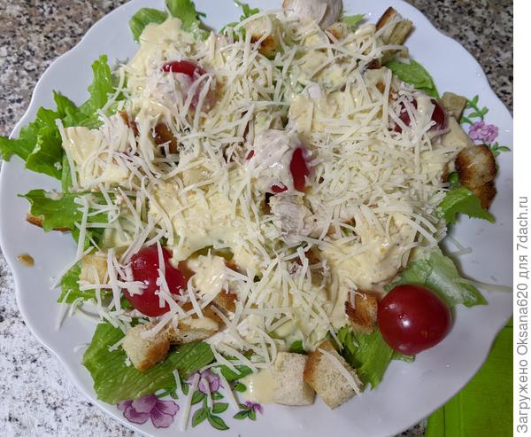 Цезарь с салатом Сантаринас