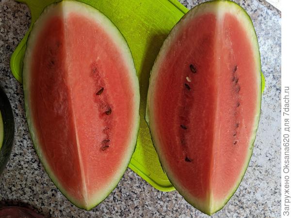 Он же на разрезе