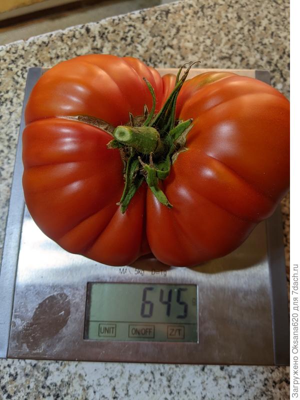 Без взвешивания на даче никак )))