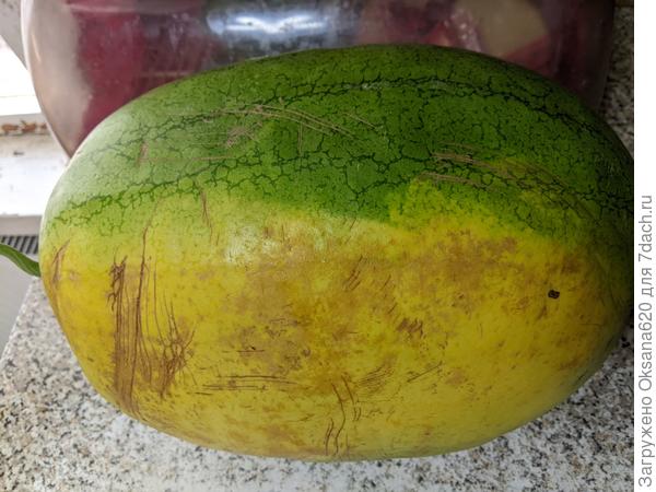 Жёлтое пятно