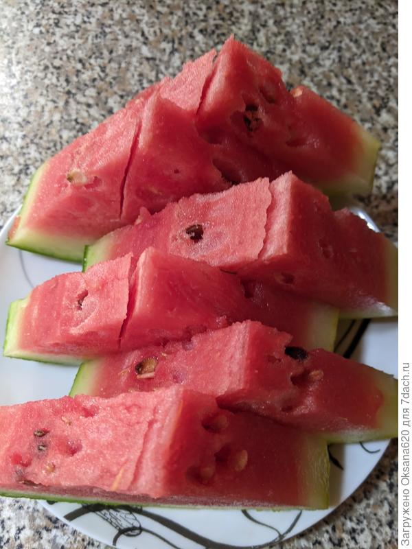 Ем, довольная физиономия бахчевода в фото не вошла )))