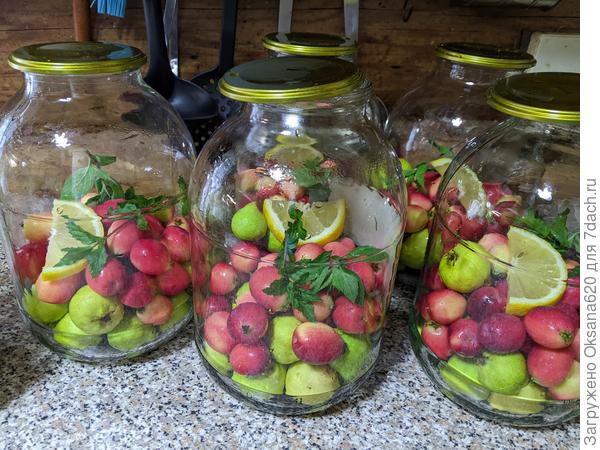 Компот из груши и райских яблочек с мятой