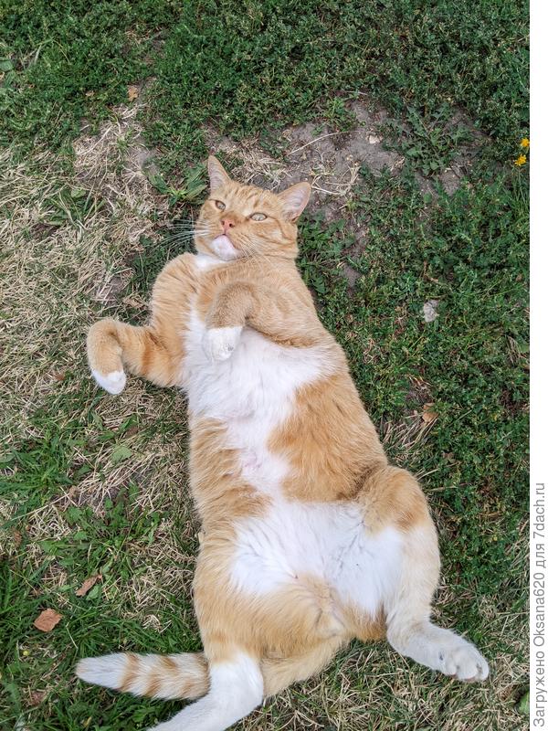 Работать больше не буду, баста!