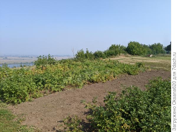 Где дождь???