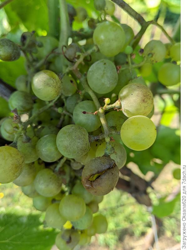 Бианка &amp;quot;открыла глазки&amp;quot;