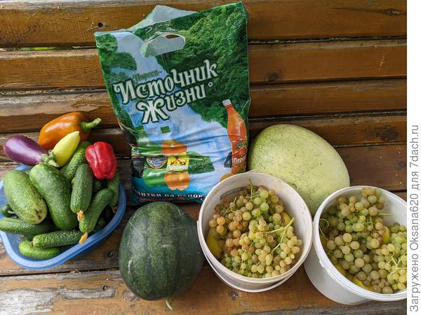 Гостинцы в город. Лавочку покрасить руки так и не дошли