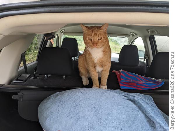 Да пристегнусь я, пристегнусь!