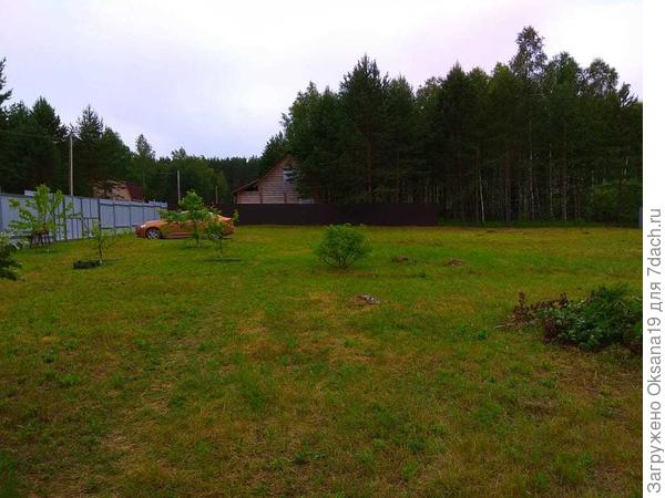 вид в левую часть участка