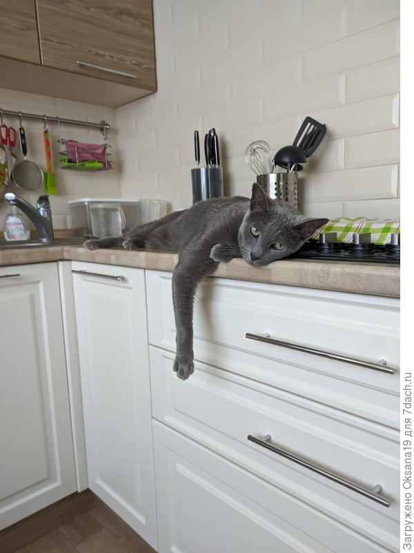 А это просто кто-то обнаглел в край) Причем мой приход на кухню его даже не смутил)))