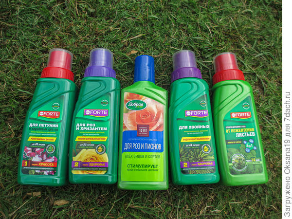 для моих любимых цветов