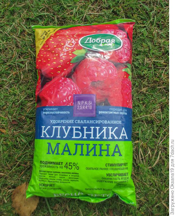 А это для моей любимой ягоды