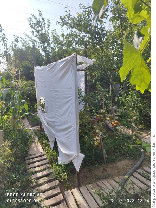 Импровизация затемнения