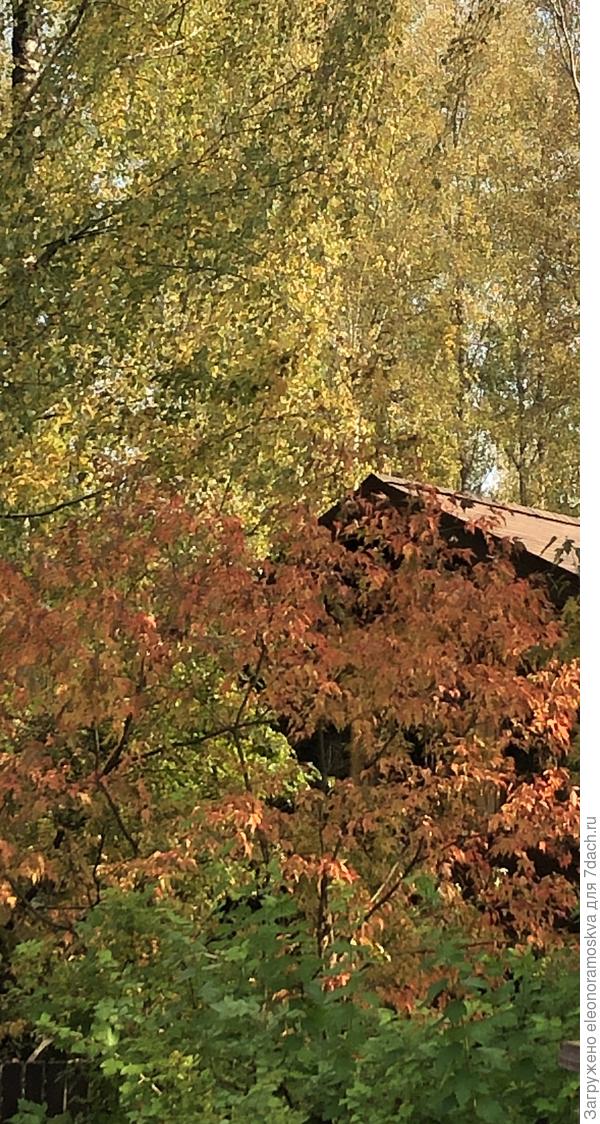 Бабье лето 2020