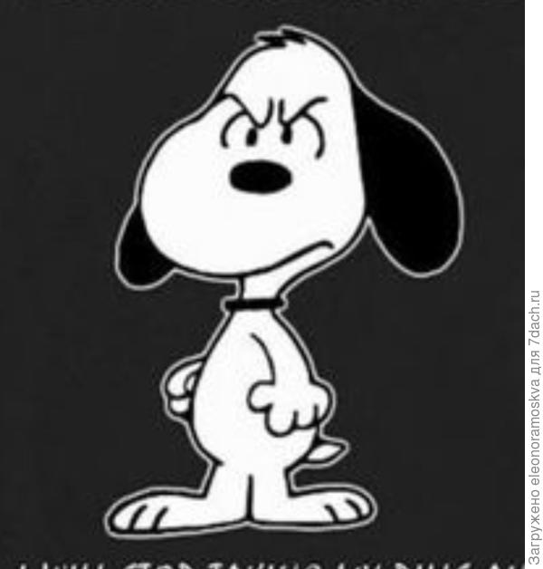 Погода в Москве сегодня