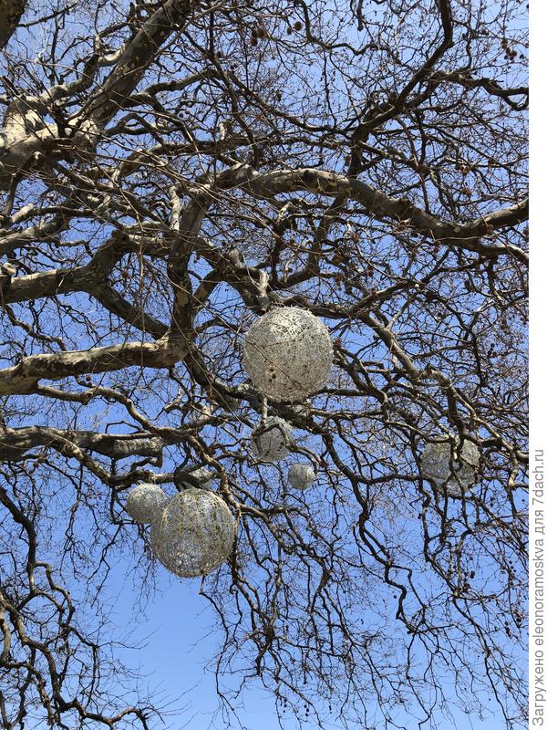 Ялта сегодня