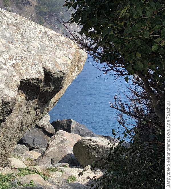 Алупка вчера