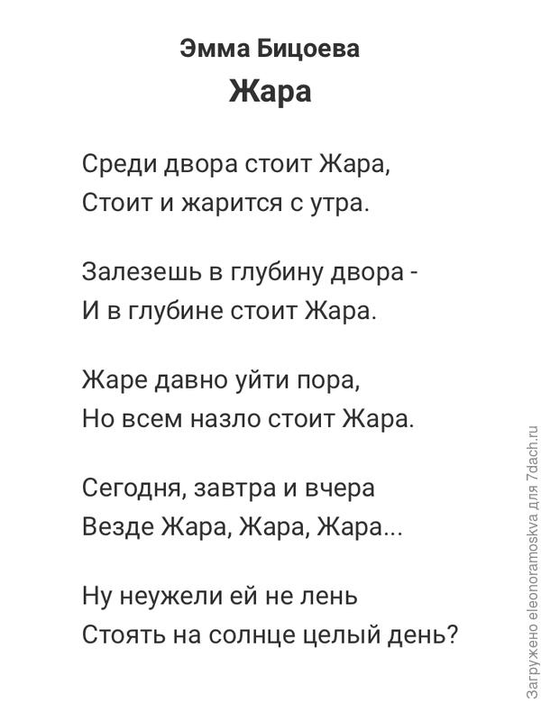Жара