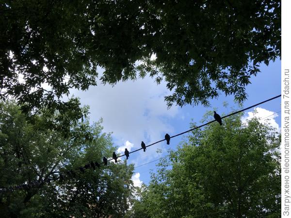 В Москве хорошая погода