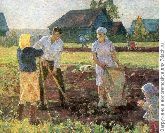 День дачника