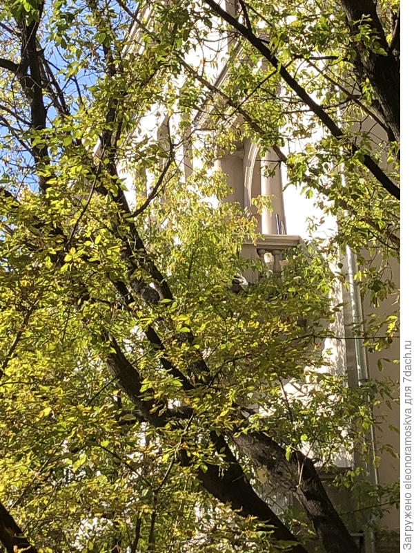 В Москве прекрасная осенняя погода