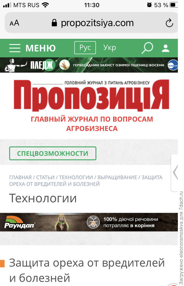 Болезни грецкого ореха