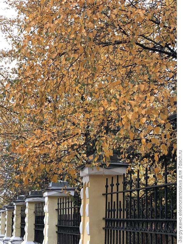 В Москве холодает