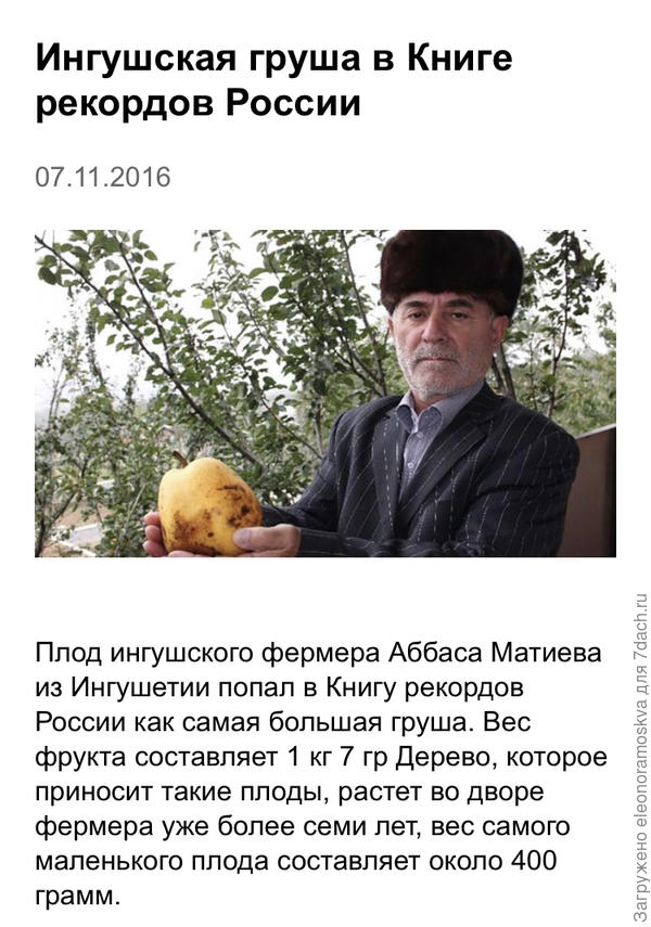 Это интересно