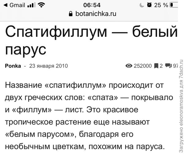 Спатифиллум