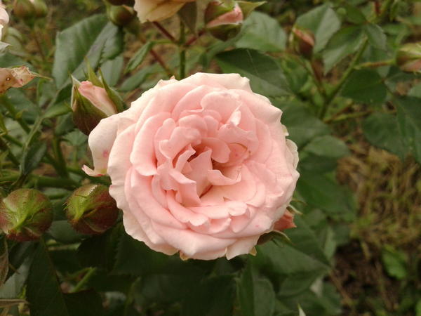Фото 2