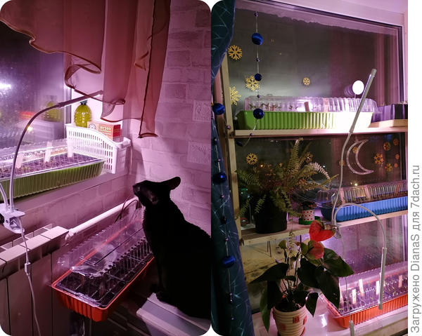 Вот такое у нас ночное освещение...