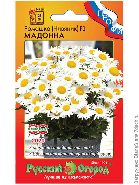 Нивяник