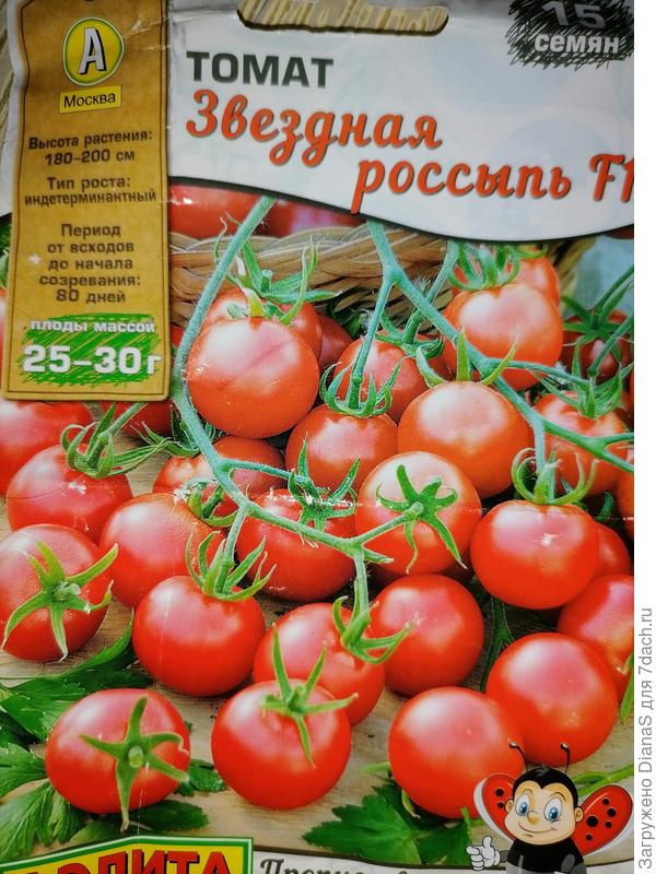 Томат Звездная россыпь.