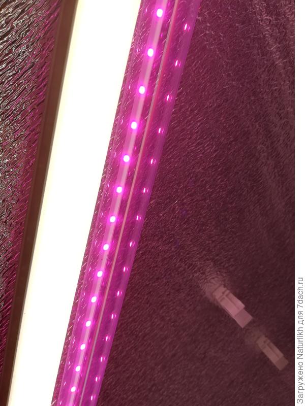 Лампы заказали через магазин, но пришли не бело-розовые, а красные. Бело - розовое свечение достигнуто путем установки второй лампы самой дешёвой 35вт 1900лм. Лампы  длиной 1200мм установлены по диагонали. . Стены, стеллажи, потолок обшиты пенофолом.