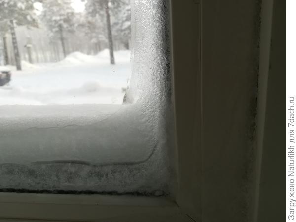 Еслу вас нет возможности содержать рассаду на подоконнике(как у меня все замерзает) , то вариант с переоборудованием кладовки это просто выход.