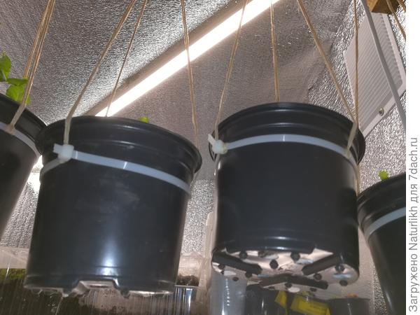 Вариант для горшков без бортика